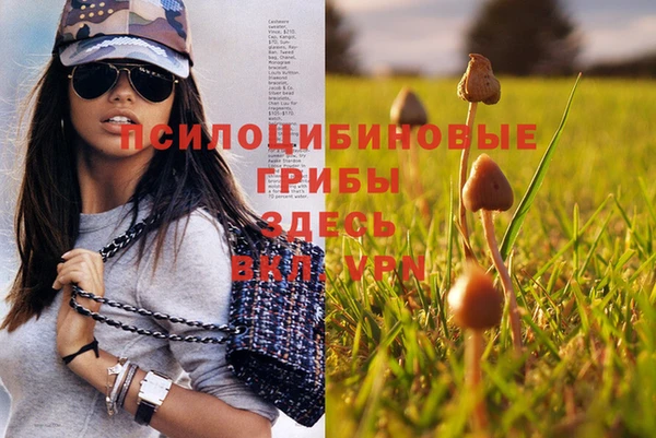 PSILOCYBIN Аркадак