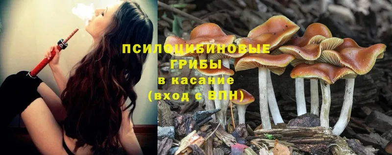 Галлюциногенные грибы Psilocybine cubensis  MEGA онион  Инсар 